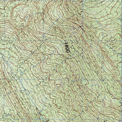 Land Info Worldwide Mapping LLC Las Margaritas (E15D74) digital map