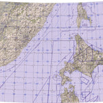 Land Info Worldwide Mapping LLC ONC-F10 digital map