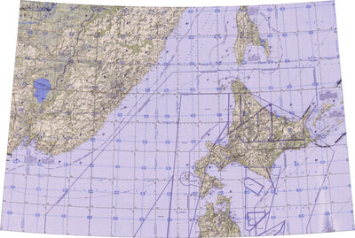 Land Info Worldwide Mapping LLC ONC-F10 digital map