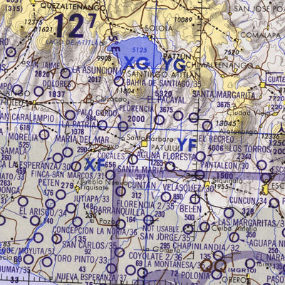 Land Info Worldwide Mapping LLC ONC-K25 digital map