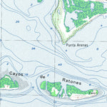 Land Info Worldwide Mapping LLC Puerto Rico 20K R17066H3 digital map