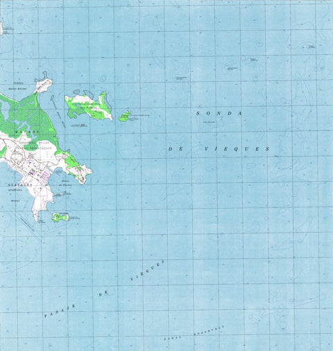 Land Info Worldwide Mapping LLC Puerto Rico 20K R18065B5 digital map