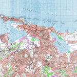 Land Info Worldwide Mapping LLC Puerto Rico 20K R18066D1 digital map