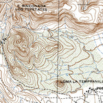 Land Info Worldwide Mapping LLC Rincón De Romos (F13B89) digital map