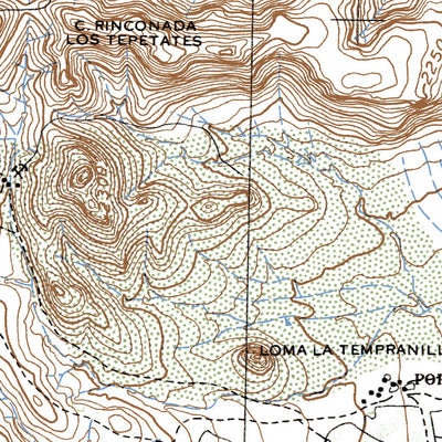 Land Info Worldwide Mapping LLC Rincón De Romos (F13B89) digital map