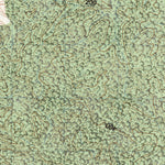 Land Info Worldwide Mapping LLC Tenosique De Pino Suárez (E15D35) digital map