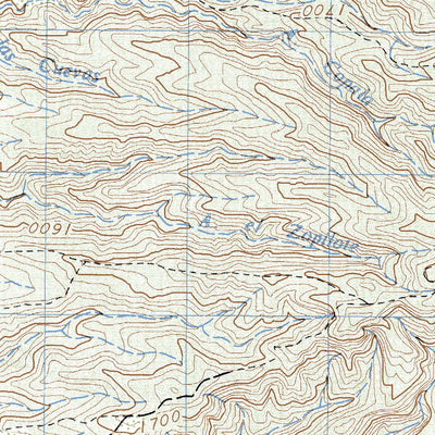 Land Info Worldwide Mapping LLC Venustiano Carranza (E13B24) digital map