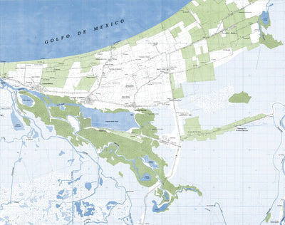 Land Info Worldwide Mapping LLC Vicente Guerrero (E15B71) digital map