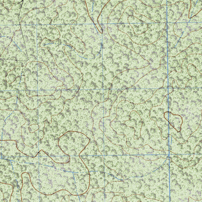 Land Info Worldwide Mapping LLC Villahermosa (E16C11) digital map