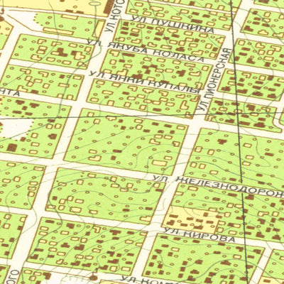 Land Info Worldwide Mapping LLC Volkovysk digital map