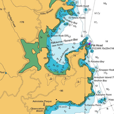 Land Information New Zealand Abel Tasman digital map