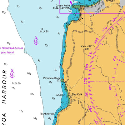 Land Information New Zealand Akaroa Harbour digital map