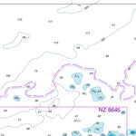 Land Information New Zealand Apolima Strait digital map