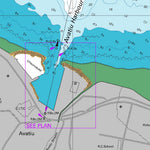 Land Information New Zealand Approaches to Avatiu and Avarua Harbours digital map