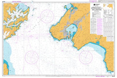 Land Information New Zealand Approaches to Wellington digital map