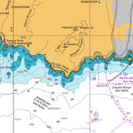 Land Information New Zealand Approaches to Wellington digital map