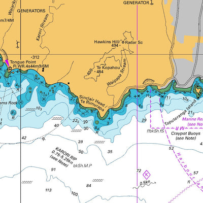 Land Information New Zealand Approaches to Wellington digital map