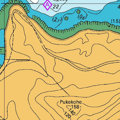 Land Information New Zealand Bar & Entrance digital map