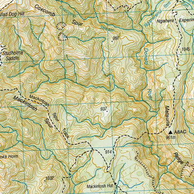 Land Information New Zealand BJ37 - Kuripapango digital map