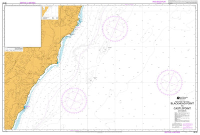Land Information New Zealand Blackhead Point to Castle Point digital map