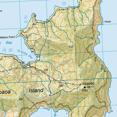 Land Information New Zealand BP30ptBQ30 - Cape Koamaru digital map