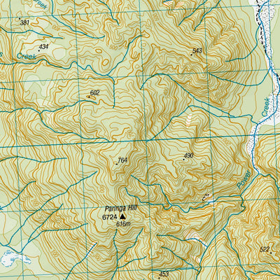 Land Information New Zealand BX13 - Heretaniwha Point digital map