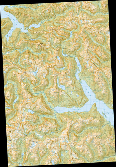 Land Information New Zealand CC07 - North West Arm digital map