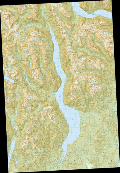 Land Information New Zealand CF06 - Lake Poteriteri digital map