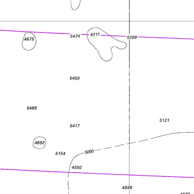 Land Information New Zealand Chatham Islands to Ile Rapa digital map