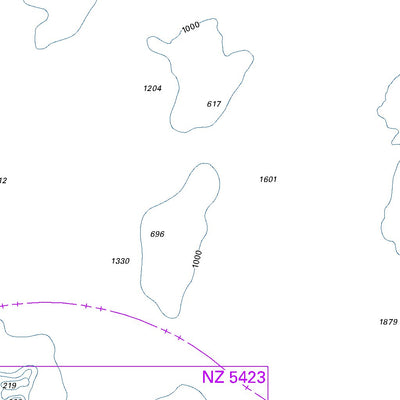 Land Information New Zealand Cuvier Island (Repanga Island) to East Cape digital map