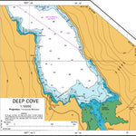 Land Information New Zealand Deep Cove digital map