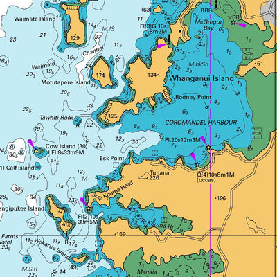 Land Information New Zealand Firth of Thames digital map