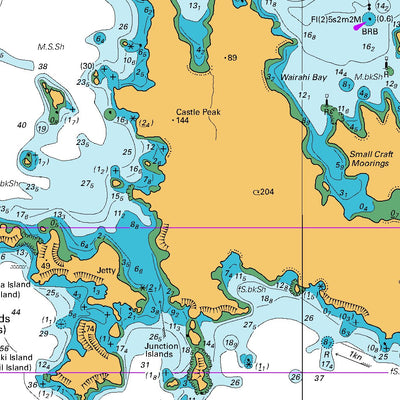 Land Information New Zealand Great Barrier Island (Aotea Island) digital map