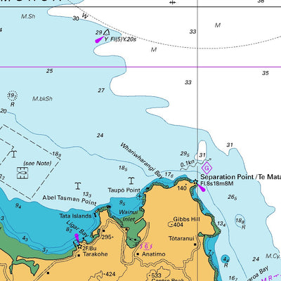 Land Information New Zealand Karamea River to Stephens Island (Takapourewa) digital map