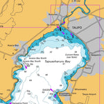 Land Information New Zealand Lake Taupo (Taupomoana) digital map