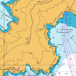 Land Information New Zealand Port Underwood digital map