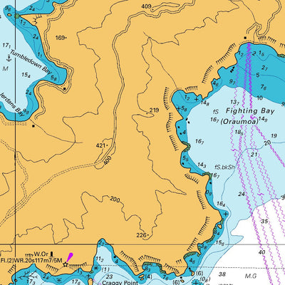 Land Information New Zealand Port Underwood digital map