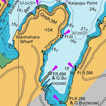 Land Information New Zealand Queen Charlotte Sound / Tōtaranui Continuation Westward digital map