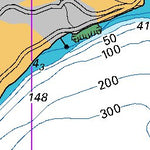 Land Information New Zealand Queenstown Bay to Picnic point digital map