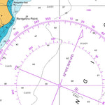 Land Information New Zealand Rauoterangi Channel and Kapiti Island digital map