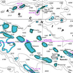 Land Information New Zealand Southeast Polynesia digital map