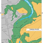 Land Information New Zealand Tamaki River Continuation Southward digital map