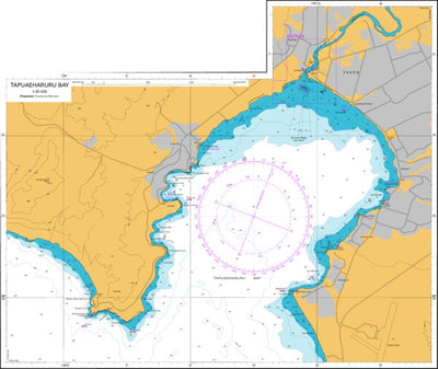Land Information New Zealand Tapuaeharuru Bay digital map