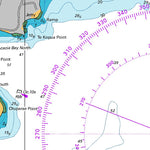 Land Information New Zealand Tapuaeharuru Bay digital map