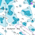 Land Information New Zealand Taruia Passage to Gudgeon Bay digital map