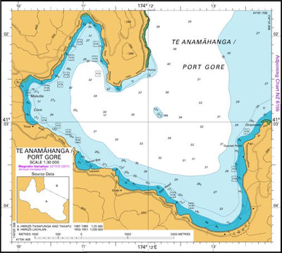 Land Information New Zealand Te Anamahanga (Port Gore) digital map