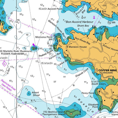 Land Information New Zealand Te Hāwere-a-Maki / Goat Island to Waiwera River digital map