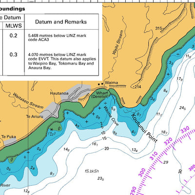 Land Information New Zealand Tokomaru Bay digital map