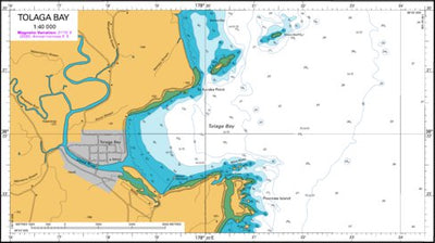 Land Information New Zealand Tolaga Bay digital map