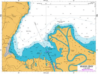 Land Information New Zealand Waihi Bay digital map